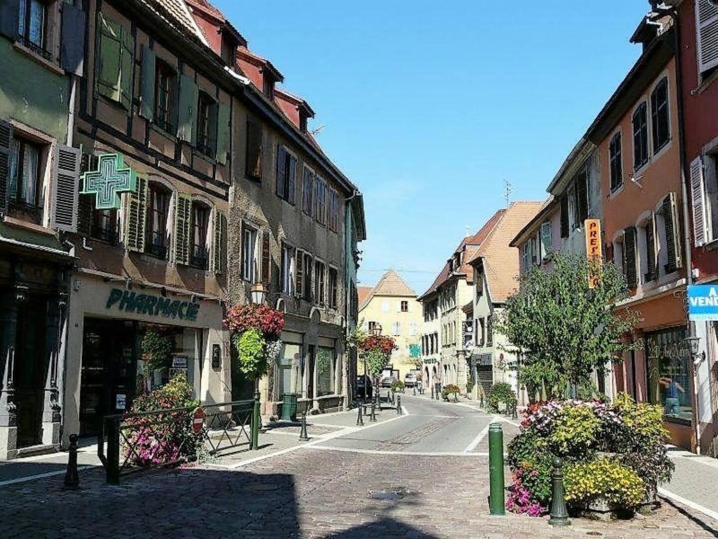 Studio L'Epicea Climatisation Sejour Parfait Soultz-Haut-Rhin Buitenkant foto